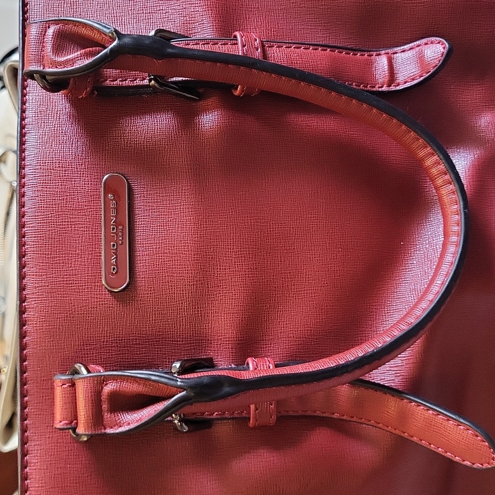 David Jones Purse